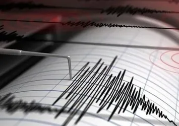Ege'de 4,6 büyüklüğünde deprem