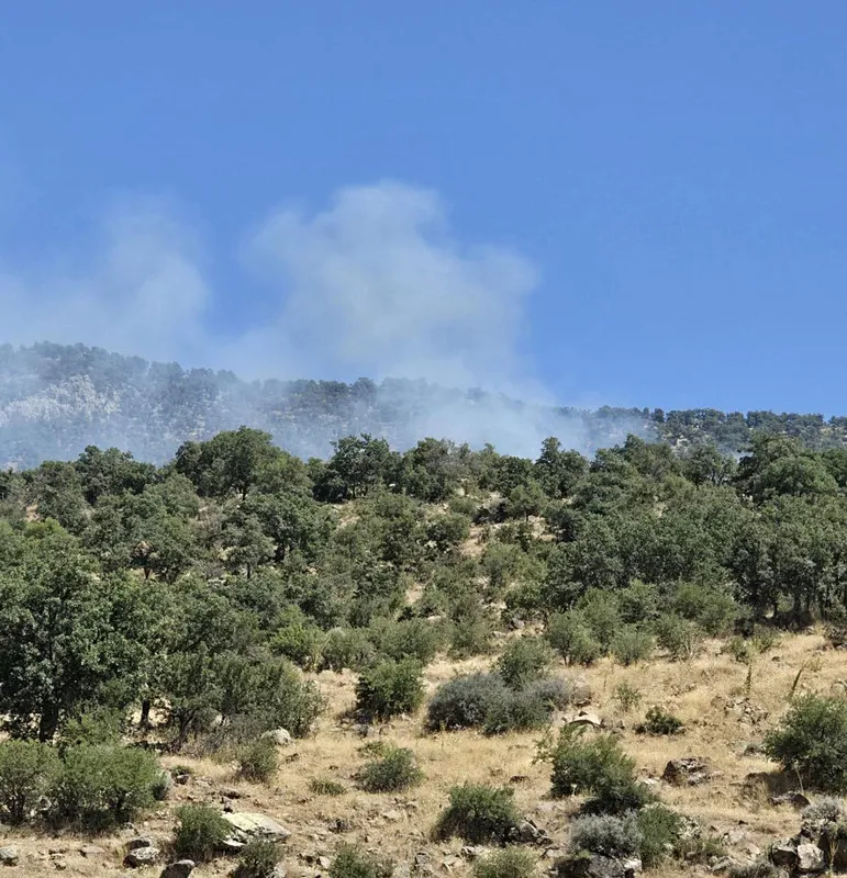 1787253274674.jpeg Konya'da orman yangını! Alevler 8 saatin sonunda kontrol altına alındı - 1