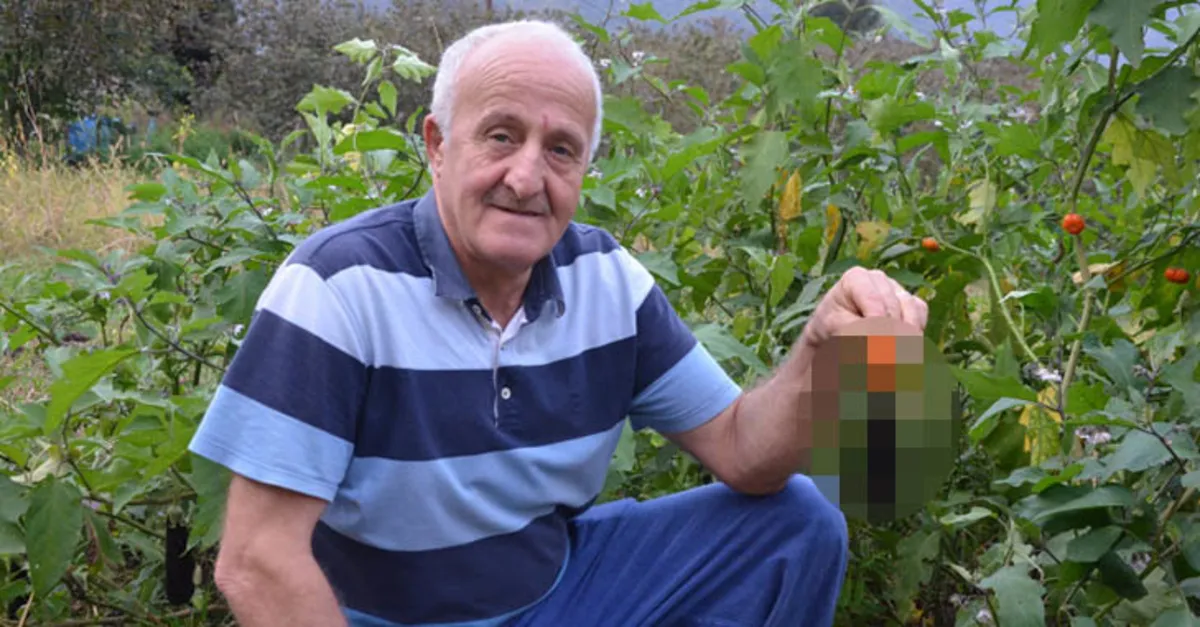 Patlıcan tohumu ekti hayatının şokunu yaşadı! Görenler hayrete düştü