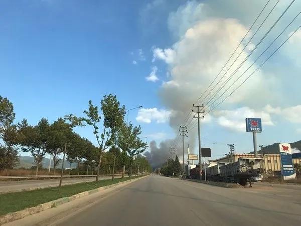 Son dakika: Bursa'da ormanlık alanda yangın çıktı - 1