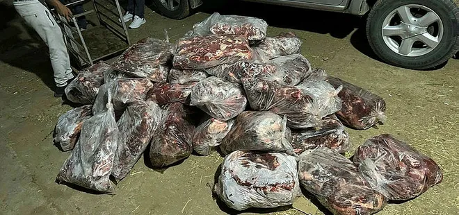 İncirliova'da 1 ton domuz eti ele geçirildi