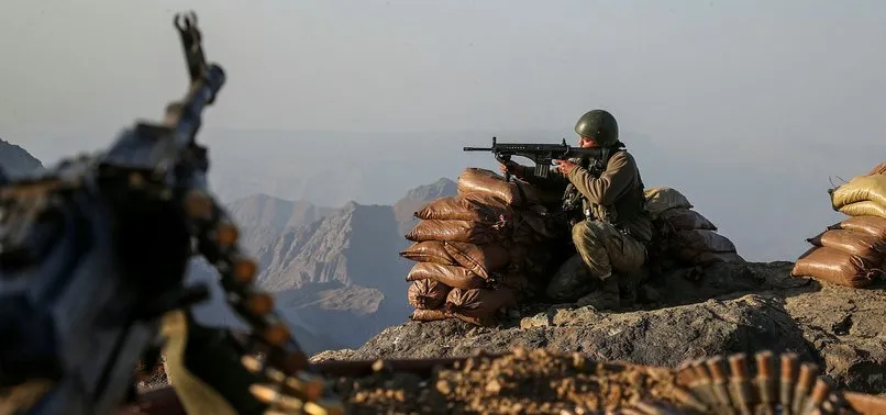 Son dakika: Hakkari'de 2 terörist etkisiz hale getirildi