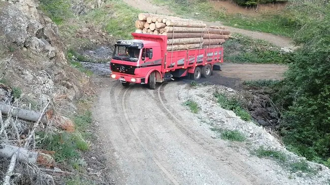 Artvin’de tomruk yüklü kamyonları tehlikeli dağ yollarında kullanıyorlar - 2