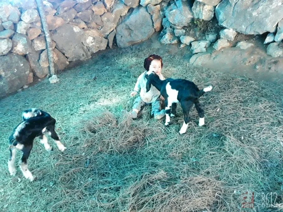 Müslüme’nin ölümünde çarpıcı ayrıntı! Ailesi ekipleri yanlış yönlendirdi! Ters tarafta bulundu 5