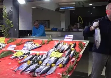 Ordu'da tezgahlarda palamut bereketi