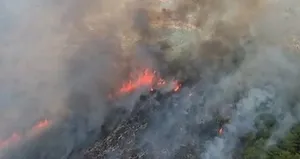 Muğla’da orman yangını!