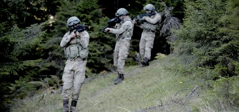 Cumhurbaşkanlığından Barış Pınarı Harekatı mesajı: Tüm YPG teröristlerinin bölgeden ayrıldığından emin olursak harekatı durdururuz