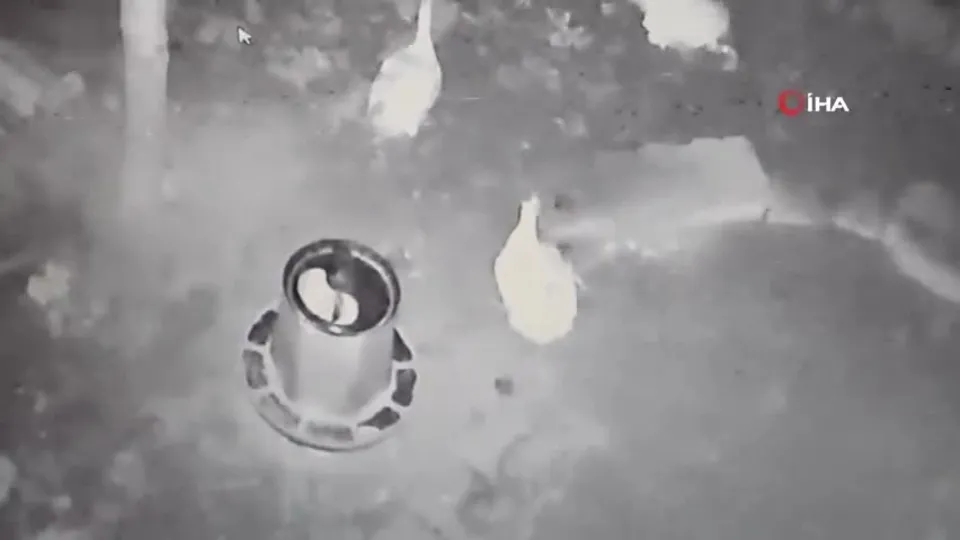 Bağ evine gelince şoke oldu! Dehşet anları kamerada