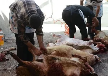 Kurban keserken kalp krizi geçiren kişi öldü