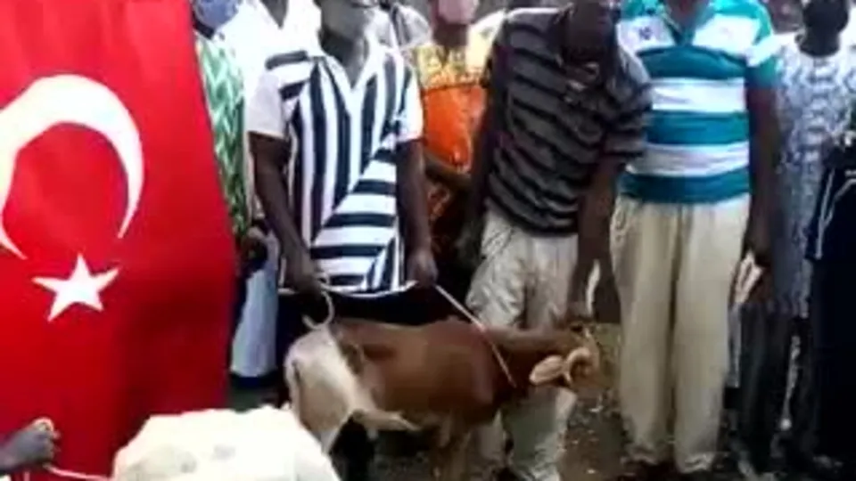 Ayasofya Camii için kurban kestiler