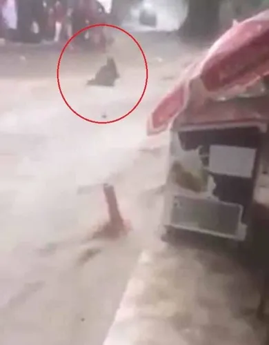 Bursa'da sele kapılan ve esnaf tarafından kurtarılan kadın yaşadıklarını anlattı - 3