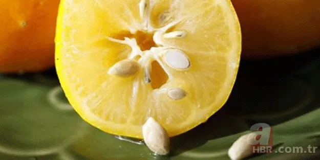 Limon çekirdeğinin bilinmeyen faydası: Kaynatıp için bakın ne olacak... 6