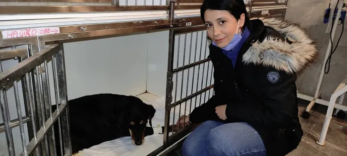 arabasiyla-yolda-yatan-kopegin-uzerinden-gecti-o-anlar-kamerada-1645795589688.jpg Arabasıyla yolda yatan köpeğin üzerinden geçti! O anlar kamerada - 2