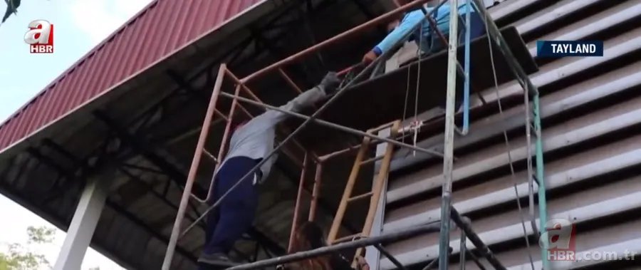 Fabrikada dev piton paniği! Yılan avcısı genç kadın... 6