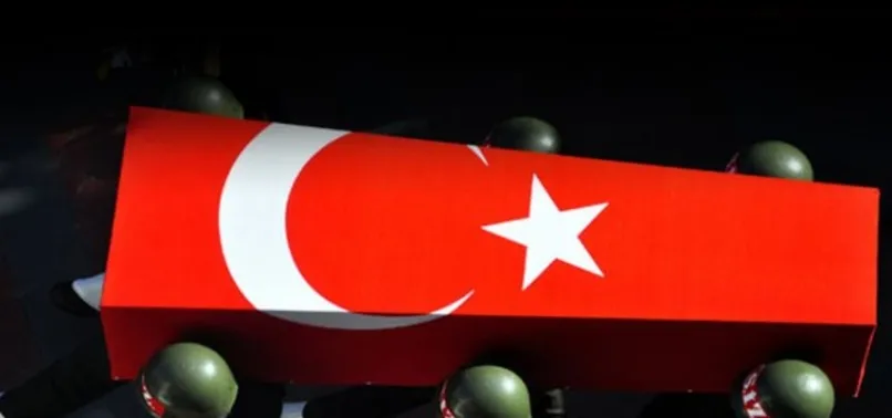 Van'da çatışma: 1 asker şehit, 2 PKK'lı öldürüldü