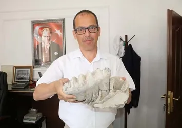 Tarlada 8 milyon yıllık fosil buldu