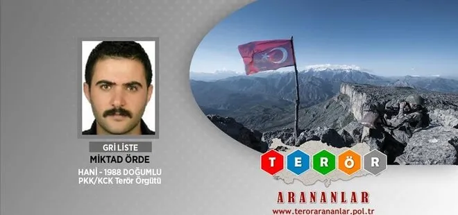 Son dakika: Jandarma, emniyet ve MİT’ten flaş operasyon: PKK’ya bir darbe daha vuruldu