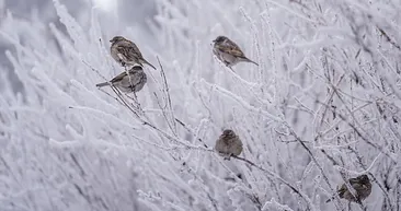 4 Ocak hava durumu | Meteoroloji alarm verdi: Kuvvetli sağanak ve kar yolda!