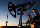 Küresel enerji ticaretinde Babülmendep alarmı