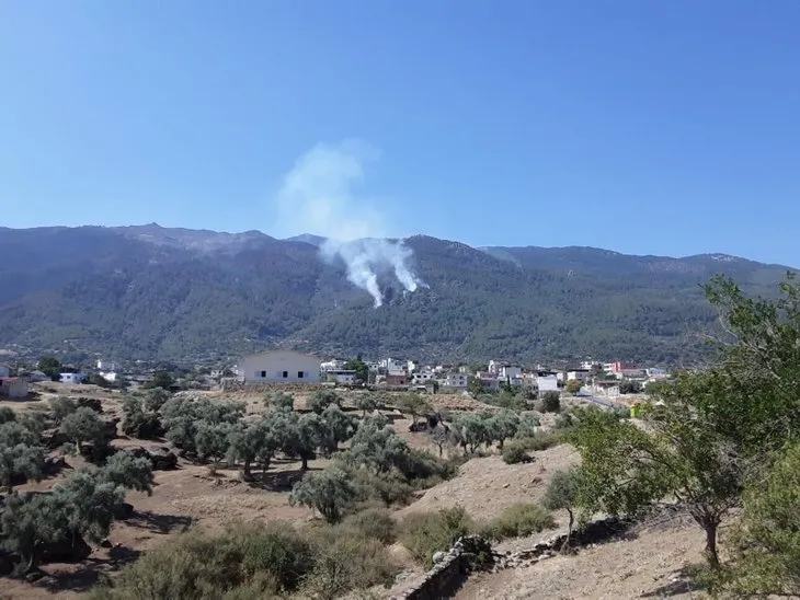 Türkiye'deki yangınlarda son durum! Manavgat, Köyceğiz, Muğla, Antalya, Isparta, Milas...