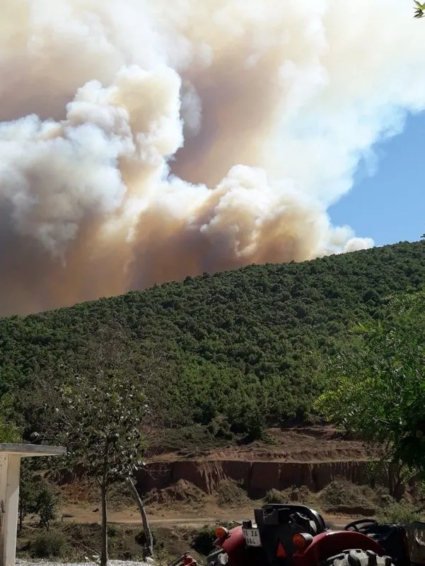Bursa Yenişehir’de korkutan orman yangını!