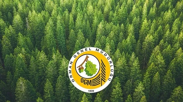 OGM 5 bin işçi alımı başvuruları ne zaman yapılacak? OGM işçi alımı başvuruları başladı mı? - 4