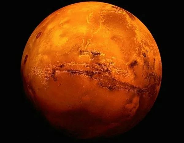Mars hakkında flaş iddia! NASA mikropları taşıdı mı? - 4