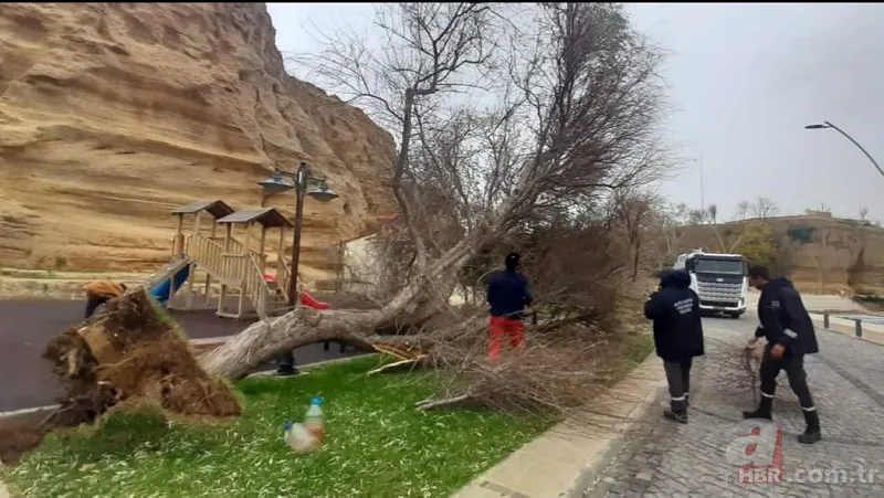 Türkiye'yi lodos vurdu! AFAD açıkladı: İşte il il son durum 11