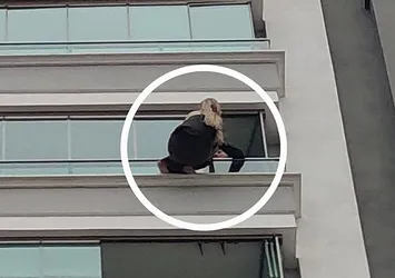 Samsun'da büyük panik! Kadın avukat 12. kattan atlamak istedi