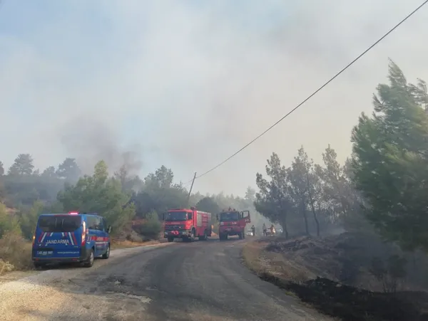 Manisa’daki orman yangını kontrol altına alındı - 3