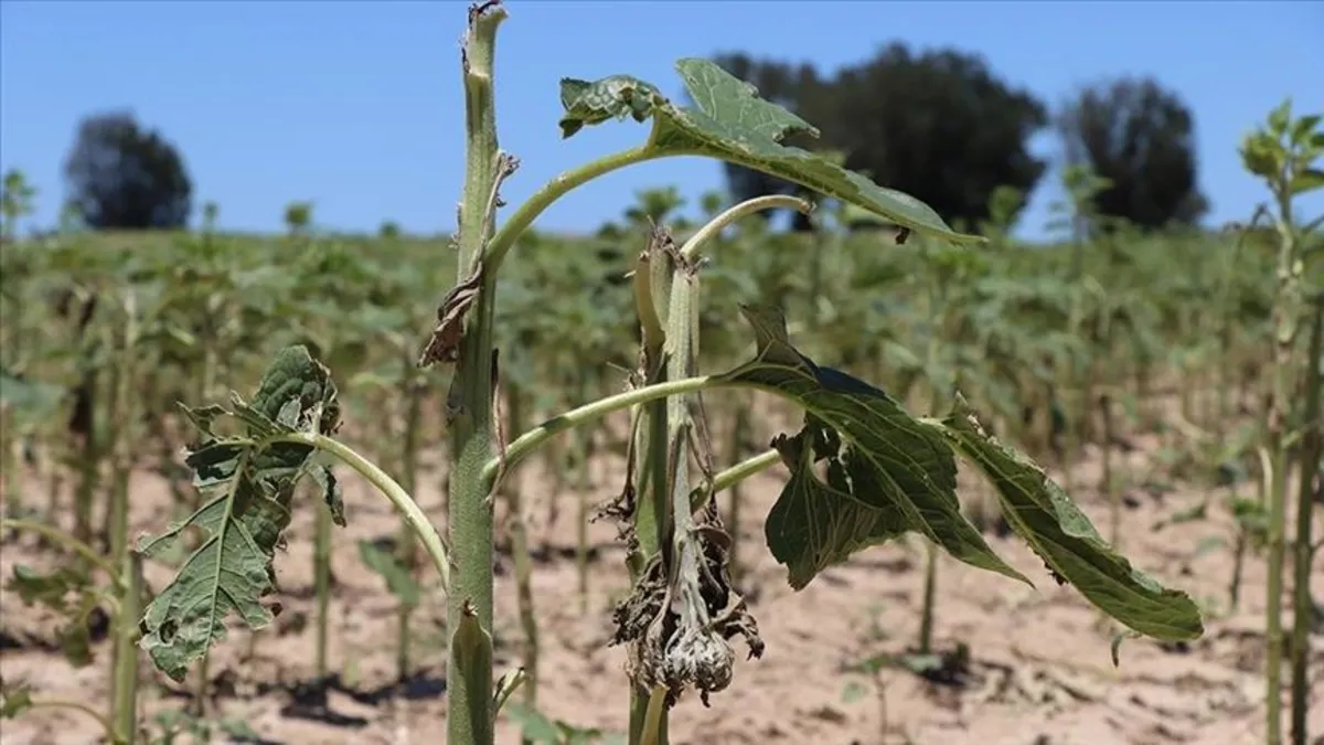 Kırklareli'nde hasar tespit çalışmaları tamamlandı