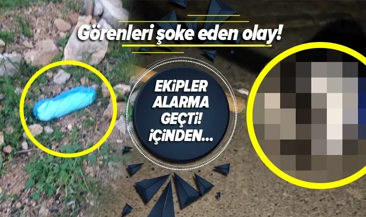 Bodrum'da görenleri şoke eden olay! Kundakta bebek var zannettiler içinden...