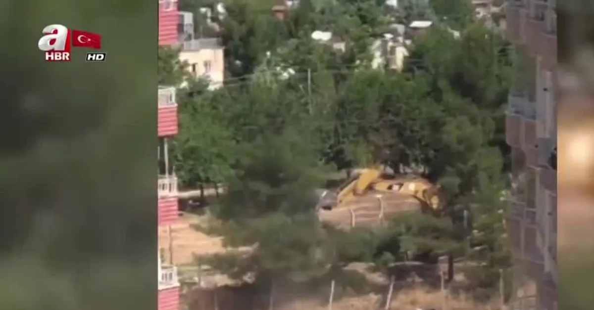HDP’li Batman Belediyesi’nden ağaç katliamı | Video