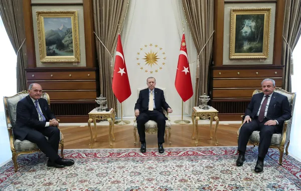 Son dakika: Başkan Erdoğan, Avusturya Meclis Başkanı Wolfgang Sobotka ile görüştü - 2