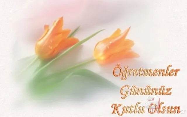 ÖĞRETMENLER GÜNÜ MESAJLARI 2020 | Uzun, kısa, anlamlı, içten ve farklı 24 Kasım Öğretmenler Günü kutlama sözleri... 10