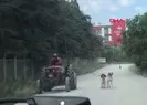 Köpekleri traktöre bağladı! Sözleri şoke etti