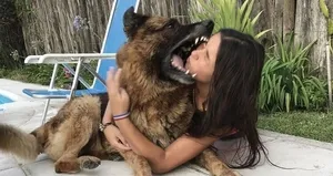 Alman kurdu hayatının şokunu yaşattı!