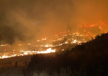 Muğla'da orman yangını! Bakan Pakdemirli: Soğutma çalışmalarımız devam ediyor