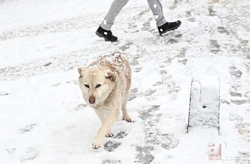 Bugün hangi illerde okullar kar tatili edildi? 20 Şubat Perşembe okul var mı, yok mu? 13
