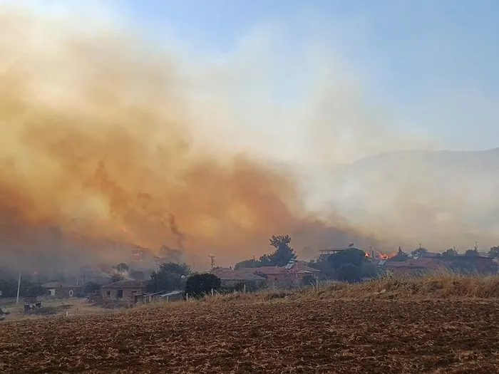 1719038047963.jpeg Manisa'daki orman yangını ile ilgili Orman Genel Müdürlüğünden yeni açıklama: Kontrol altına alındı - 4