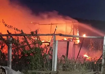 Bursa'da bağ evi küle döndü