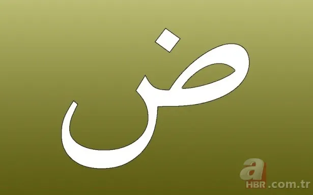 Kur'an-ı Kerim'deki harflerin sırlarını biliyor musunuz? İşte harflerin manaları 16