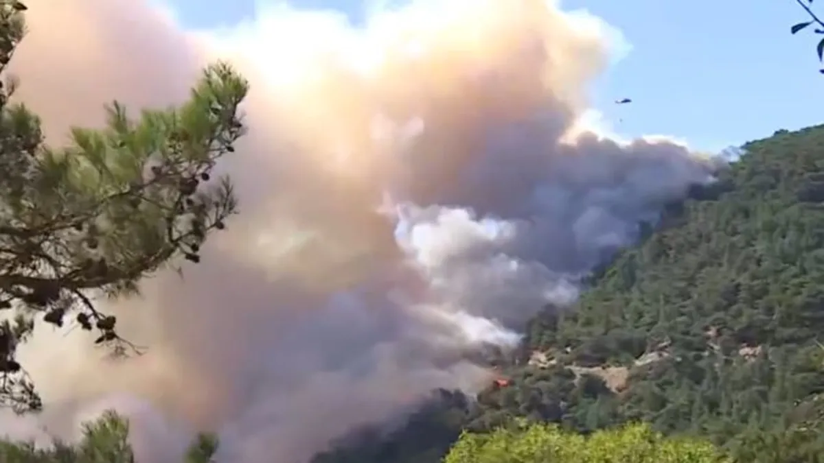 A Haber yangının en etkili olduğu bölgede