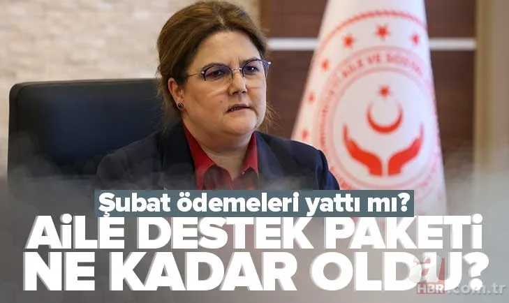 Şubat ayı Aile Destek Paketi yattı mı, ne zaman ödenecek? 2023 Aile sosyal yardımı parası zam geldi mi, ne kadar oldu? 1