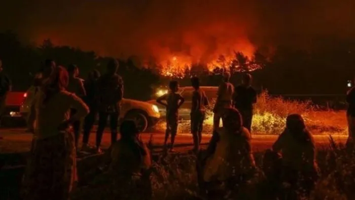 Son dakika: İstanbul'da orman yakan teröriste rekor ceza! İşte eylem haritası - 1