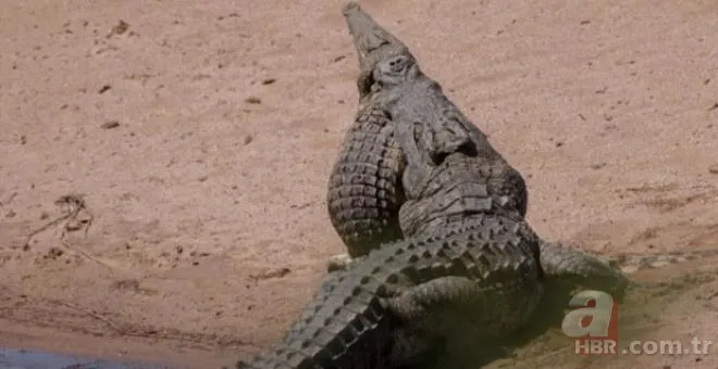 Futbolcular neye uğradıklarını şaşırdı! Futbol sahasını bastılar 25