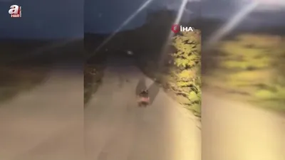 Yolda koşan ay böyle görüntülendi