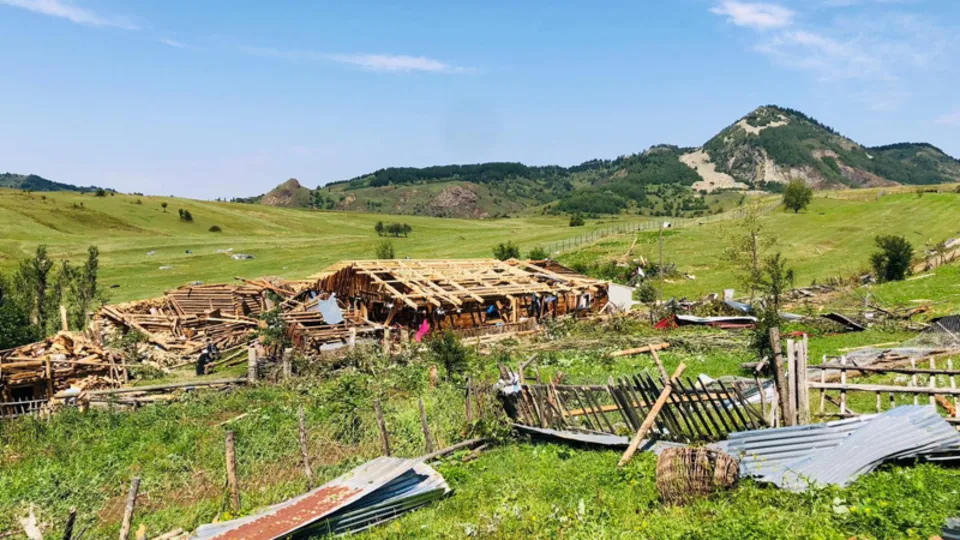 Felaket gün ağarınca ortaya çıktı! Artvin'de fırtına ve hortum kabusu!