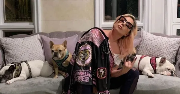 Lady Gaga'dan hırsızlara 500 bin dolar teklif - 3