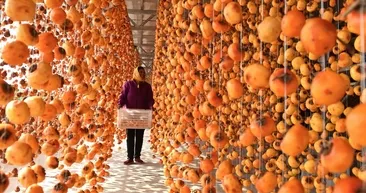 Cennet hurmasını böyle yiyince zehre dönüşüyor!